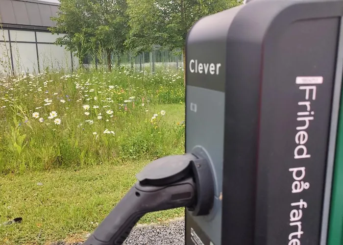 Storebaelt Sinatur & Konference